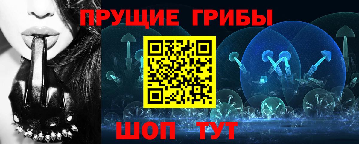 Псилоцибиновые грибы GOLDEN TEACHER Сызрань