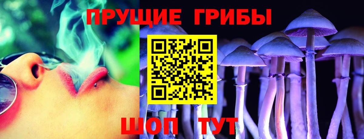 Галлюциногенные грибы ЛСД  купить  цена  Галлюциногенные грибы GOLDEN TEACHER  Сызрань  Вход с VPN 